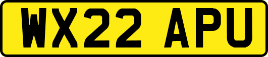 WX22APU