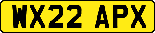 WX22APX
