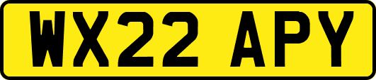 WX22APY