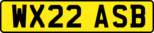WX22ASB