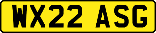 WX22ASG