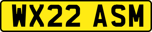 WX22ASM