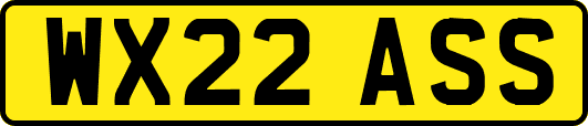 WX22ASS