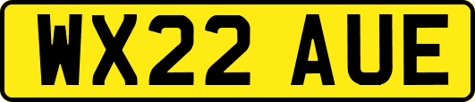 WX22AUE