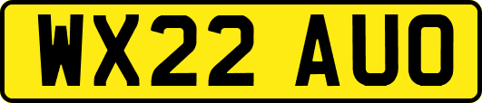 WX22AUO
