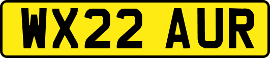 WX22AUR
