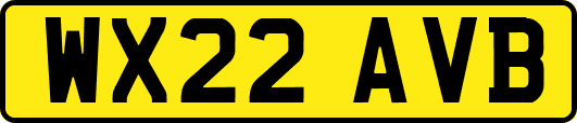WX22AVB