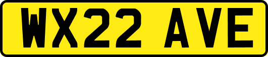 WX22AVE