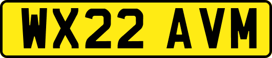 WX22AVM