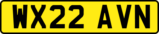 WX22AVN