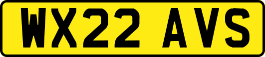 WX22AVS