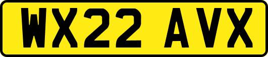 WX22AVX