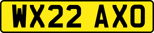 WX22AXO