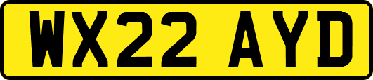 WX22AYD