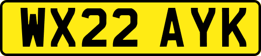 WX22AYK