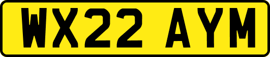 WX22AYM