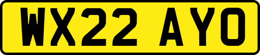 WX22AYO