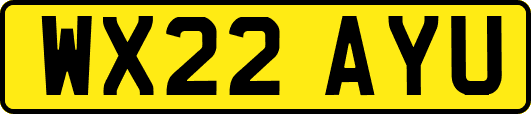 WX22AYU