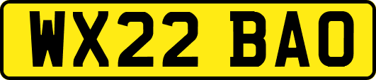WX22BAO