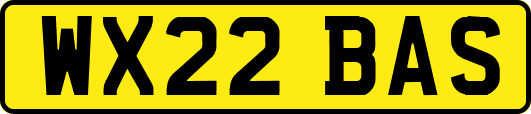 WX22BAS