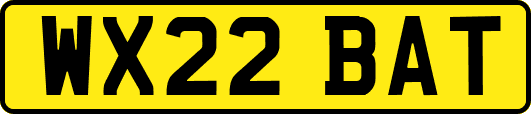 WX22BAT
