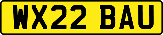WX22BAU