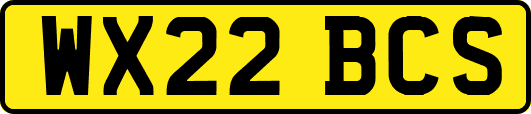 WX22BCS