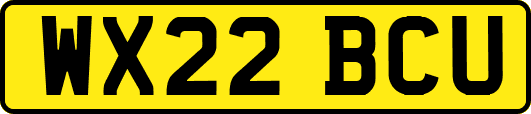 WX22BCU