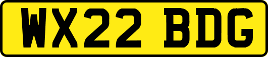 WX22BDG
