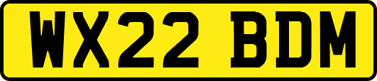 WX22BDM