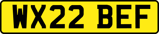 WX22BEF