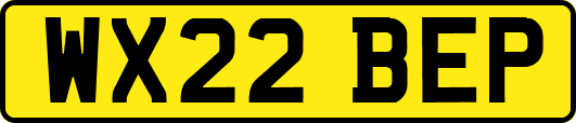 WX22BEP