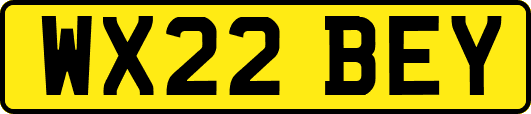 WX22BEY