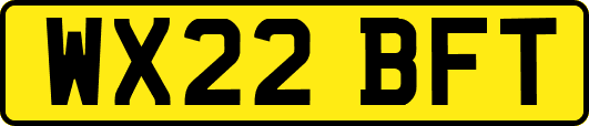 WX22BFT