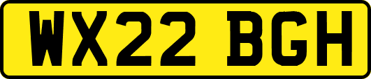 WX22BGH