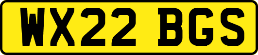 WX22BGS