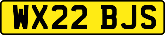 WX22BJS