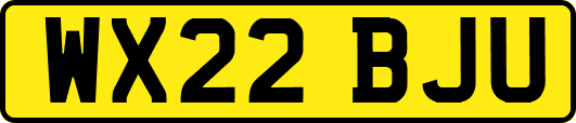 WX22BJU