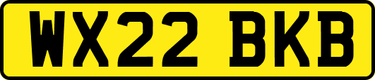 WX22BKB