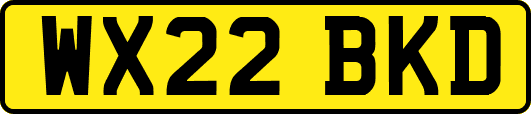 WX22BKD