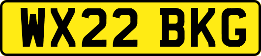 WX22BKG