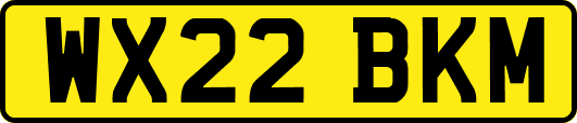 WX22BKM