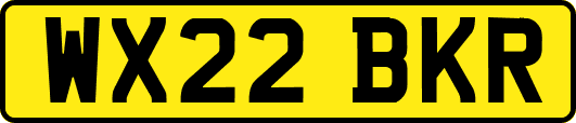 WX22BKR