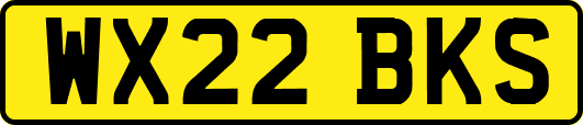 WX22BKS