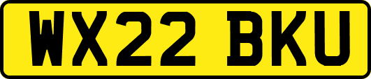 WX22BKU