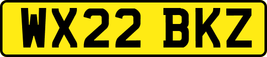 WX22BKZ