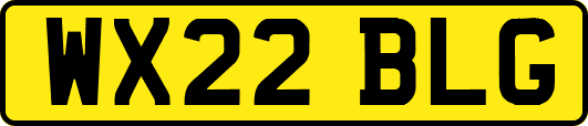 WX22BLG
