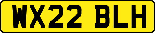 WX22BLH