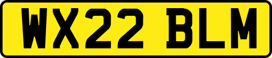 WX22BLM