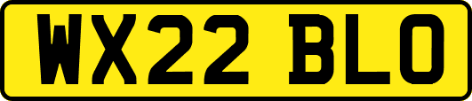 WX22BLO